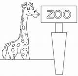 Zoo Coloring Pages For Kindergarten sketch template