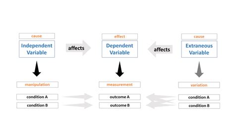 Experimental variables