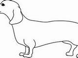 Weiner Dog Coloring Page Drawing Free Down  Vrogueco sketch template