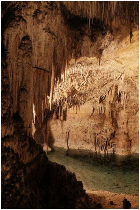 30 INTERESTING FACTS ABOUT CARLSBAD CAVERNS + HISTORY, SIZE, BATS | Carlsbad caverns, Carlsbad ...