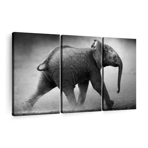 Running Baby Elephant Wall Art | Photography