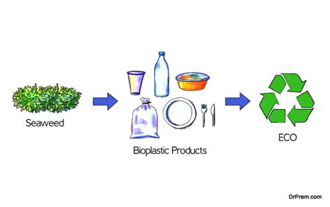 Bioplastics Diagram