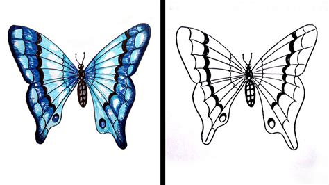 How To Make Butterfly Drawing Step By Step How To Draw A Butterfly Easy Stepstep / Drawing For ...