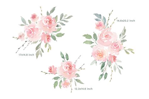 Pink Blush Watercolor Flowers Roses PNG Collection By WatercolorFlowers | TheHungryJPEG