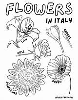 Italian Kids Coloring Pages sketch template