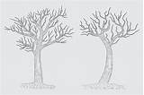 Leafless Tree Coloring Page sketch template