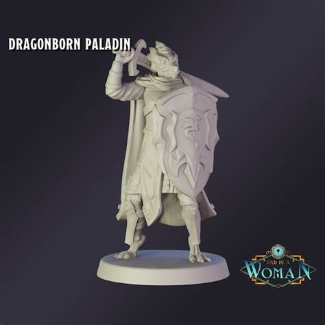 Dragonborn Paladin Miniature - Etsy