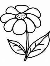Large Flower Coloring Pages sketch template