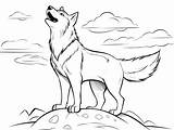 Nocturnal Howling Wolf Coloring  Page sketch template