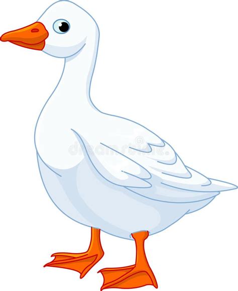 White domestic goose. Illustration of white domestic goose isolated on ...