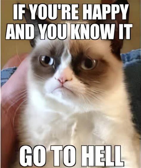 41 Best Grumpy Cats Memes You'll Love