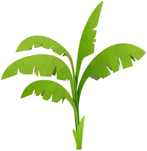 Green plant clipart - Clipground