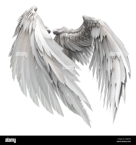 Pair of isolated angel wings with 3D feathers on white background, 3D ...