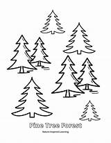 Pine Tree Coloring Pages For Kids  Nature Inspired Learning sketch template