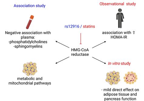 Metabolites | Free Full-Text | Impaired HMG-CoA Reductase Activity Caused by Genetic Variants or ...