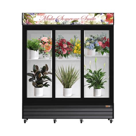 Floral Cooler Fridge in 1 2 3 Doors for Flower Storage Display & Promotion