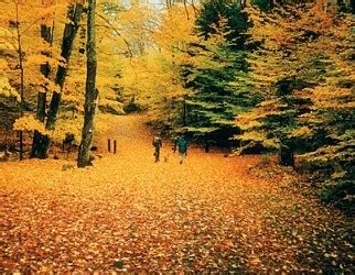 Fall Foliage Trips Upstate New York