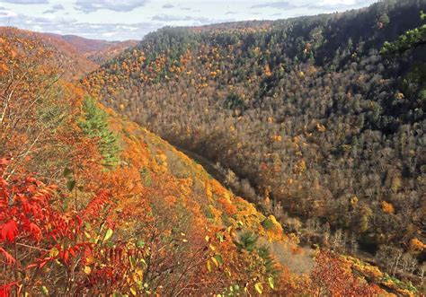 Pennsylvania's Pine Creek Gorge is grand, especially in fall ...