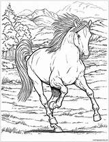 Wild Horse Coloring Pages To Print sketch template