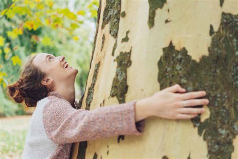 Tree-Hugging Encouraged in Iceland as a Way to Cope with Isolation - Learning Mind