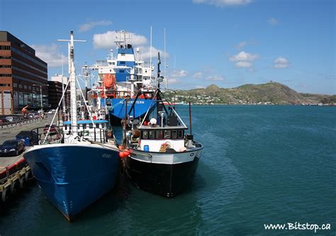 Bitstop: St. John's Harbour