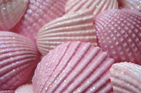 Pink Seashells | Shabby Seashells blogged at www.suchprettyt… | Flickr