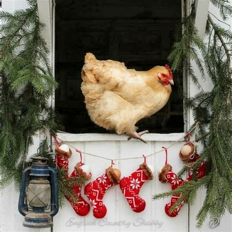 Solve Decorated Barn with Chicken, resize 9 to 144 pieces jigsaw puzzle ...