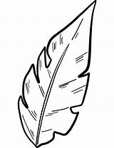 Palm Leaf coloring Page  ColouringPages sketch template