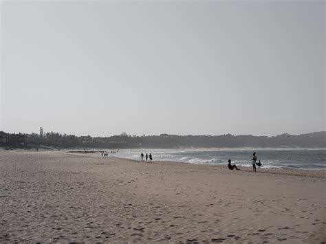 story of ponta do ouro, mozambique — natural habitat