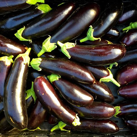 Eggplant - Diamond - Deep Harvest Farm