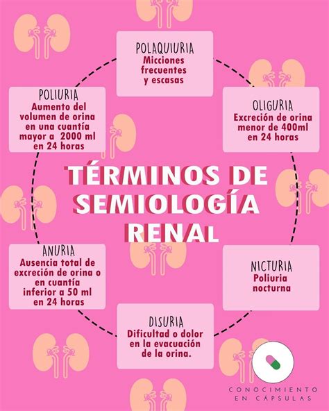 Términos de semiología renal | Cosas de enfermeria, Medicina ...