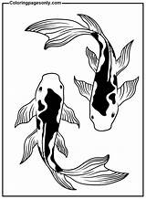40  Koi Fish Coloring Pages Free Printable PDF & Online sketch template