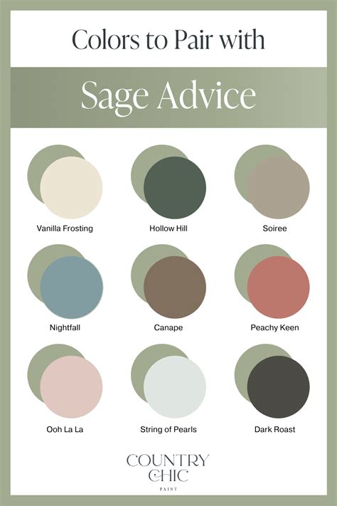 Sage Advice in 2021 | Sage green paint color, Sage paint color, Sage color palette