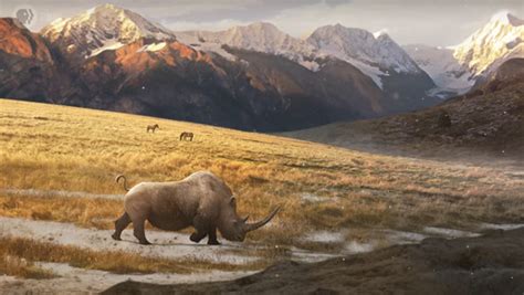 Woolly Rhinos Weren't Hunted to Extinction | Genetics And Genomics