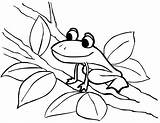 Free Printable Frog Coloring Pages For Kids sketch template
