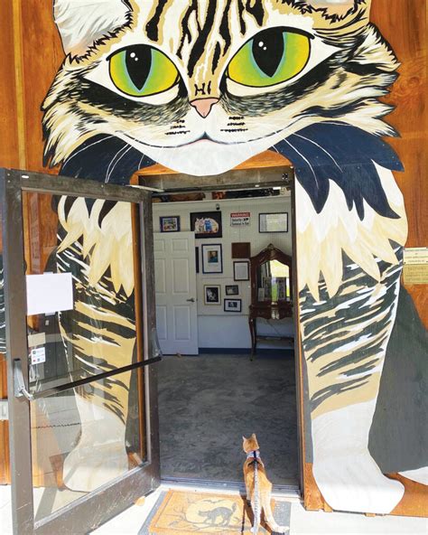 Spotlight On: American Museum of the House Cat Helps Fund Finding Forever Homes for Stray ...