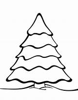 White Pine Tree Coloring Pages sketch template