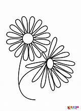 40  Daisy Coloring Pages Free Printable PDF JPG PNG & Online sketch template