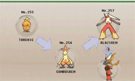 Pokémon of the Week - Blaziken