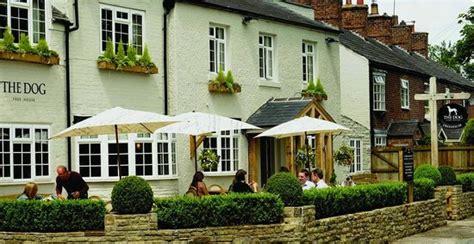 THE DOG, Knutsford - Updated 2024 Restaurant Reviews, Photos & Phone Number - Tripadvisor