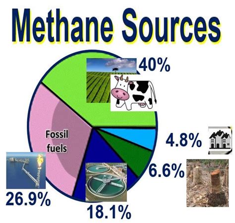 What is methane? Greenhouse gases - Market Business News