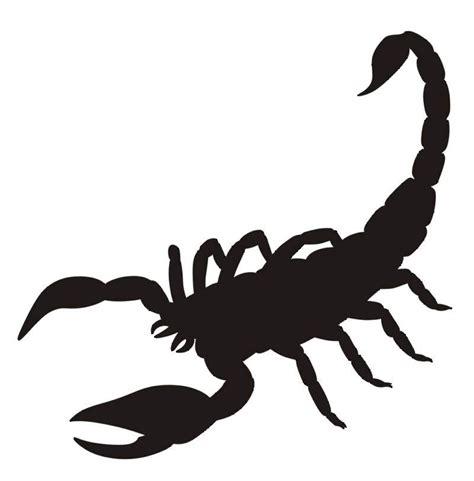 Scorpion Silhouette at GetDrawings | Free download