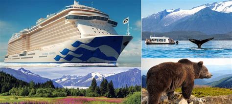 Discovery Princess Cruise | Princess Cruises | Cruises to Alaska | Princess Alaska Cruises ...