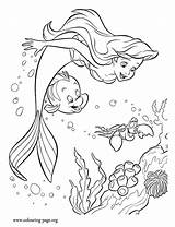 Ariel And Flounder Coloring Pages sketch template
