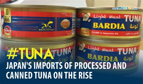 Japan's imports of processed and canned tuna on the rise - Meksea ...