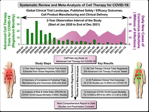 Cell therapy can reduce risk of death from COVID-19 by 60%, study finds