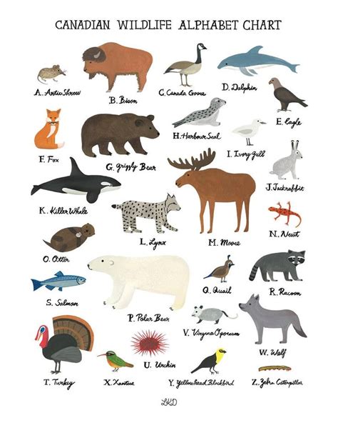 Canadian Wildlife Alphabet Chart - Etsy | Canadian wildlife, Canadian ...