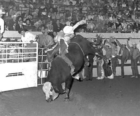 1973 RCA World Champion Bull Rider Bobby Steiner winning the 4th Round of the 1970 NFR on News ...