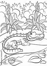 Coloring Pages Of Ponds sketch template