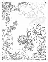 100  Succulent coloring Pages Free PDF To Print Woo Coloring sketch template
